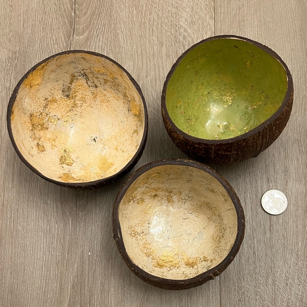 Ellementry Set of 3 Coconut Bowls 🥥